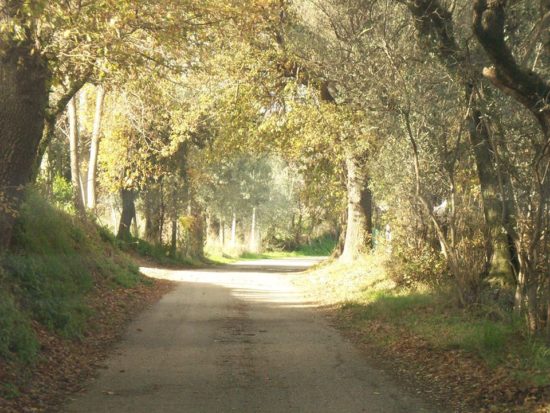 Davide Sigismonti - Autunno in Via Purgatorio