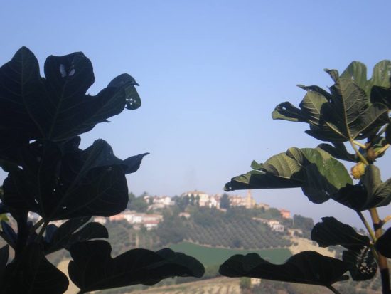 Angela Pollastrelli - Vista di Poggio Morello