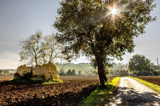 Alessandro Eddie Santoro - La Via delle Pinciare