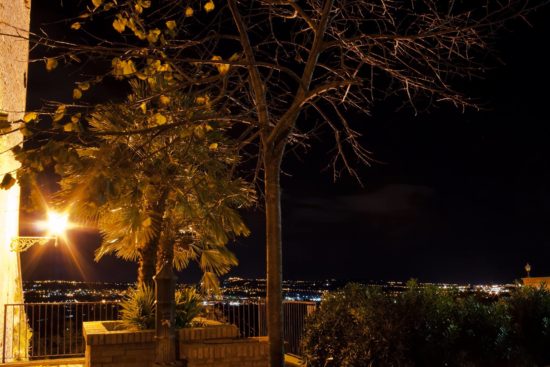 Osvaldo Angelini - Belvedere E. Petrolini