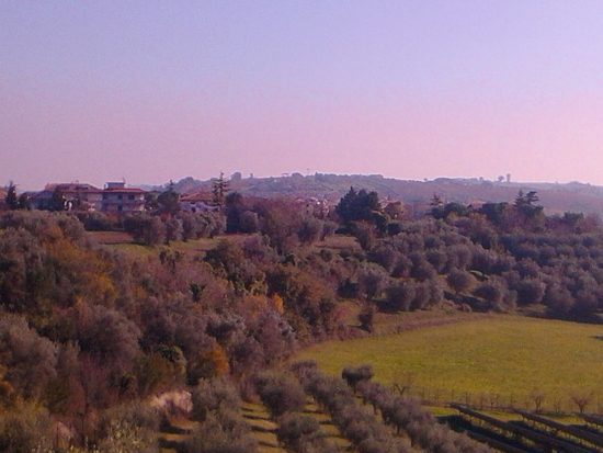 Martina Di Donato - Panorama garrufese