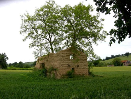 Danilo Consorti - Antica pinciaia