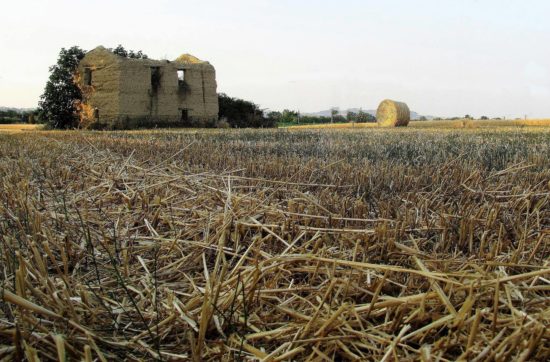 Fabrizio Fagnani - Le antiche pinciaie