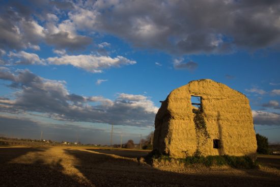 Gaetano Federico Ronchi - La Via delle Pinciare