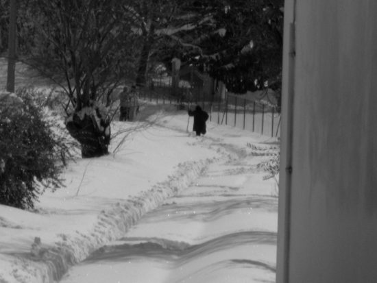 Martina Barbieri - Via della Croce a Garrufo