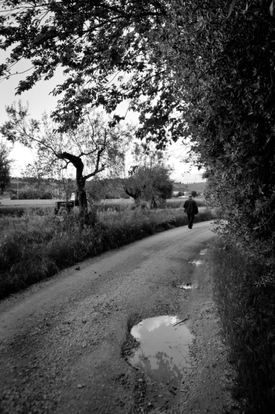 Cinzia Calcagnoli - Strada di campagna