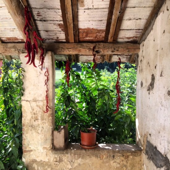 Alessandra Di Luca - Vita di campagna