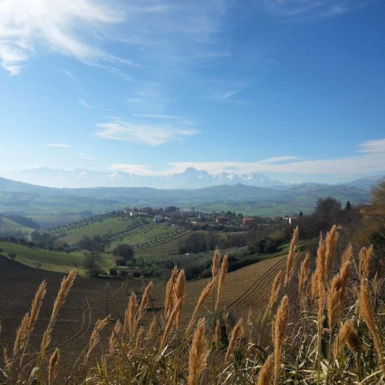 Marika Cordoni - Belvedere di Sant’Omero