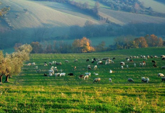 Maria Colella - Panorama da Via Colle Casone