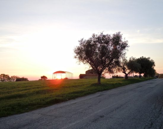 Martina Barbieri - Alba sui Colli