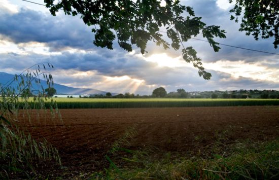 Fabrizio De Angelis - Primavera a Sant’Omero