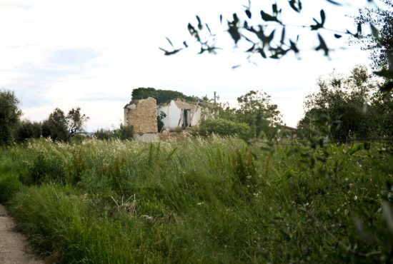 Claudia Meco - Strada di campagna