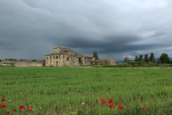 Domenico Flagnani - Zona Santa Maria a Vico