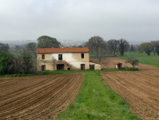 Alessandra Di Luca - Piane di Sant’Omero