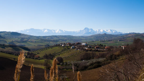 Maria Antonini - Belvedere di Sant'Omero