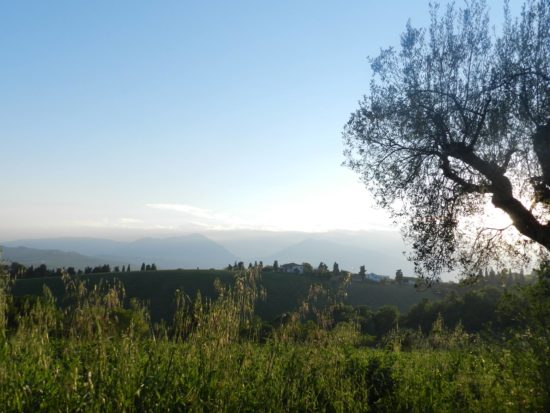 Giulia Lattanzi - Veduta di Sant’Omero