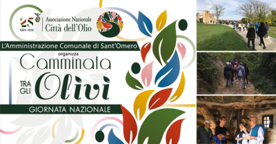 Camminata tra gli Olivi
